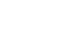 Auto Japon Hyundai